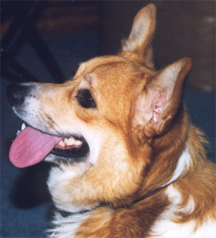 reba40_5.jpg (34774 bytes)